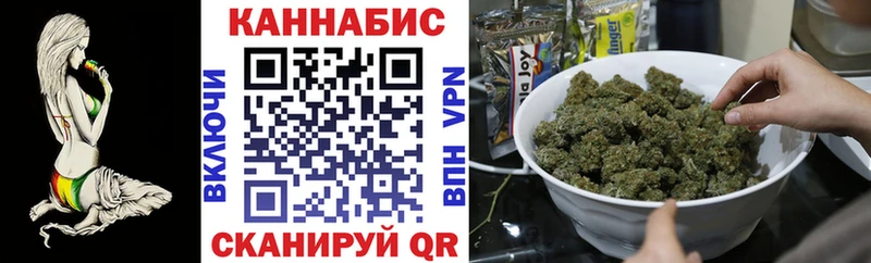 Виды наркотиков купить Новотроицк COCAIN  APVP  ГАШИШ  Каннабис  МЕФ 