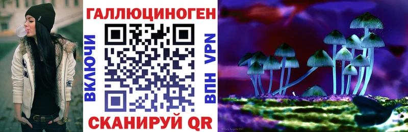 Псилоцибиновые грибы MAGIC MUSHROOMS  купить наркоту  KRAKEN маркетплейс  Новотроицк 