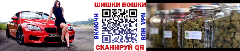 Конопля гибрид  гидра сайт  Новотроицк  цены  